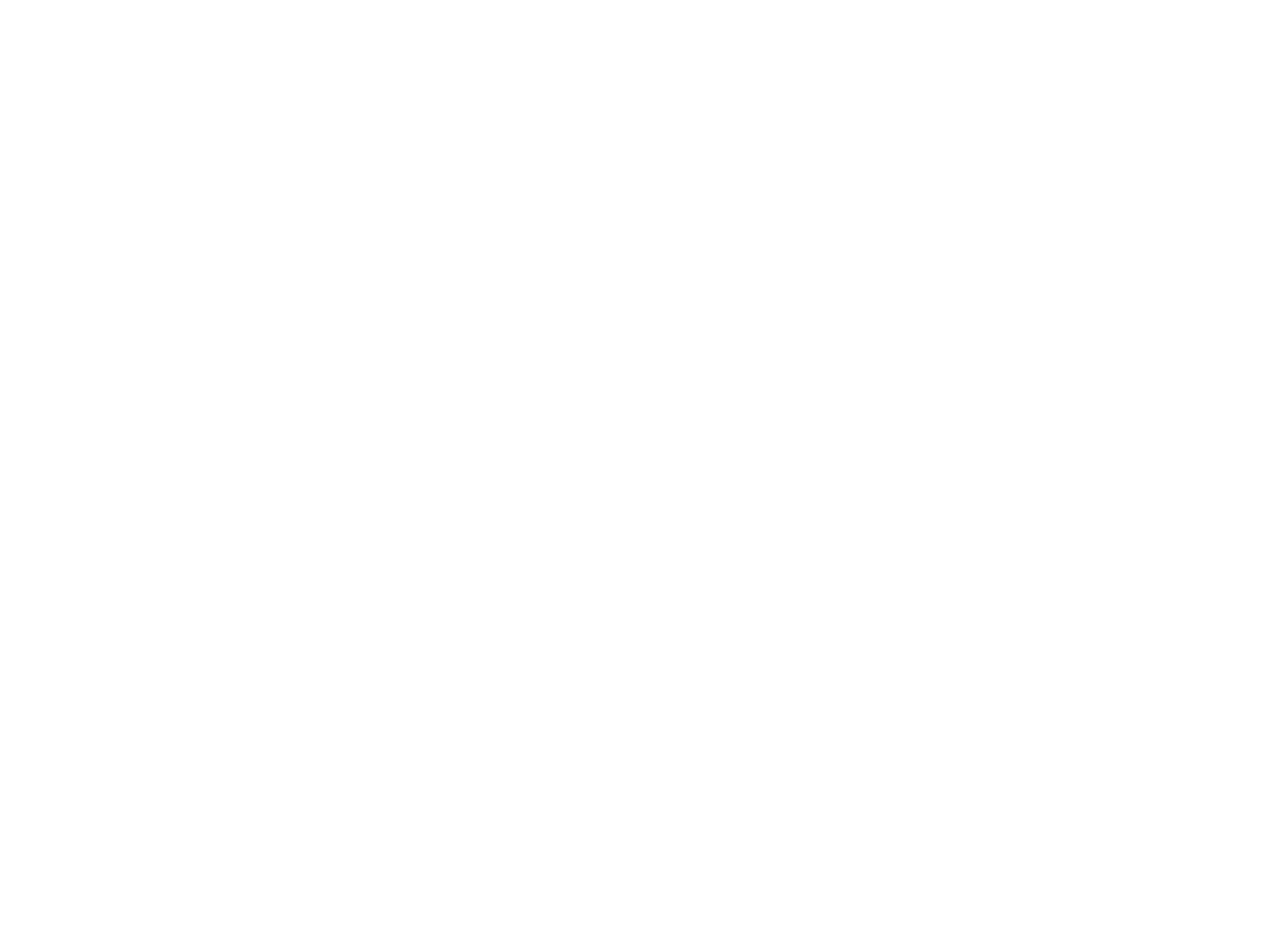 Next Level Solutions Logo